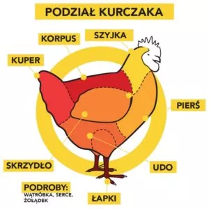 Podział-kurczaka_infografika-male-300x300